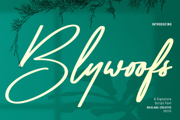 Blywoofs: A Stylish Script Font for Modern Web Design